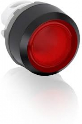 Push Button Flush Illuminated Red Momentary