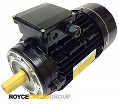 RCG Alloy Series D90L 1.5kW 4P B14A Flange Mount 415/3/50 IP55 Electric Motor 24
