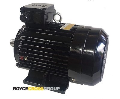 RCG CI IP55 132M 5.5kW 6P TEFC F B3 Foot Mount 415/3/50 Cast Iron Electric Motor
